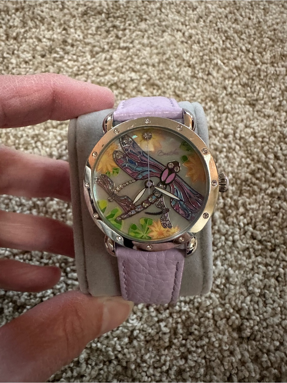 Bertha Butterfly Watch